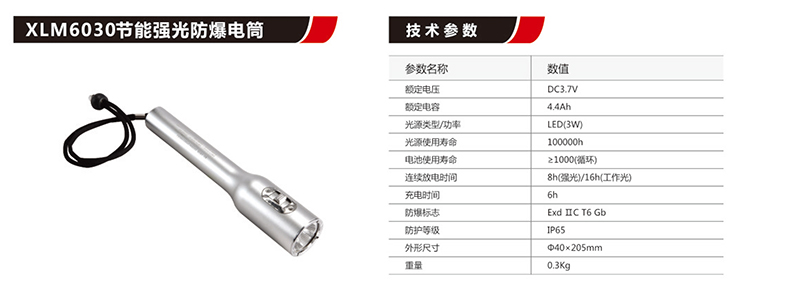 XLM6030节能强光防爆手电筒
